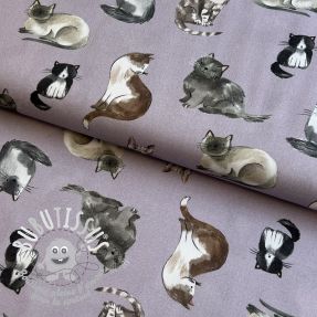 Tissu coton Cats lavender digital print