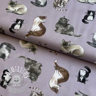 Tissu coton Cats lavender digital print