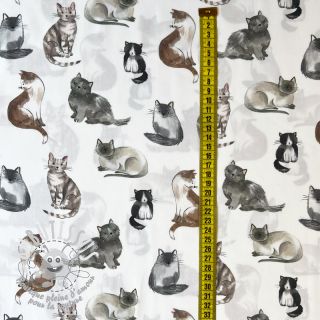 Tissu coton Cats white digital print