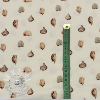 Jersey Baby Seashells digital print