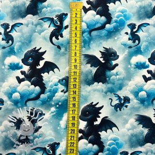 Jersey Cute dragons design C digital print