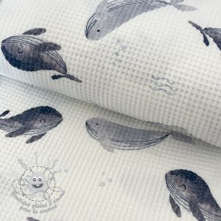 Tissu nid d’abeille Whales digital print